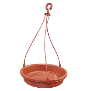 Bird Feeder